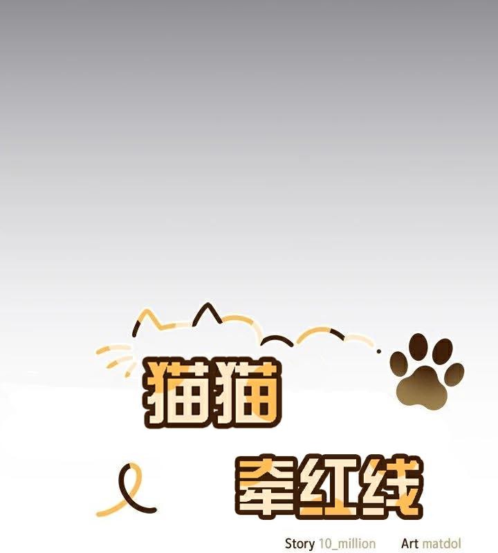 猫猫牵红线第23話