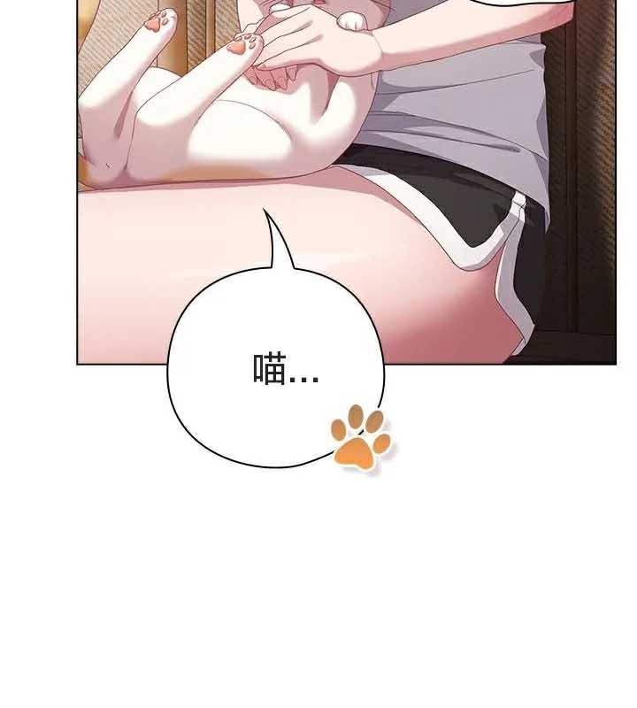 猫猫牵红线第23話