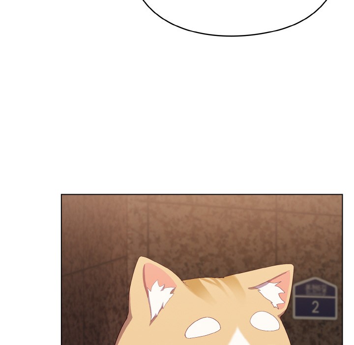 喵来的恋爱第1话