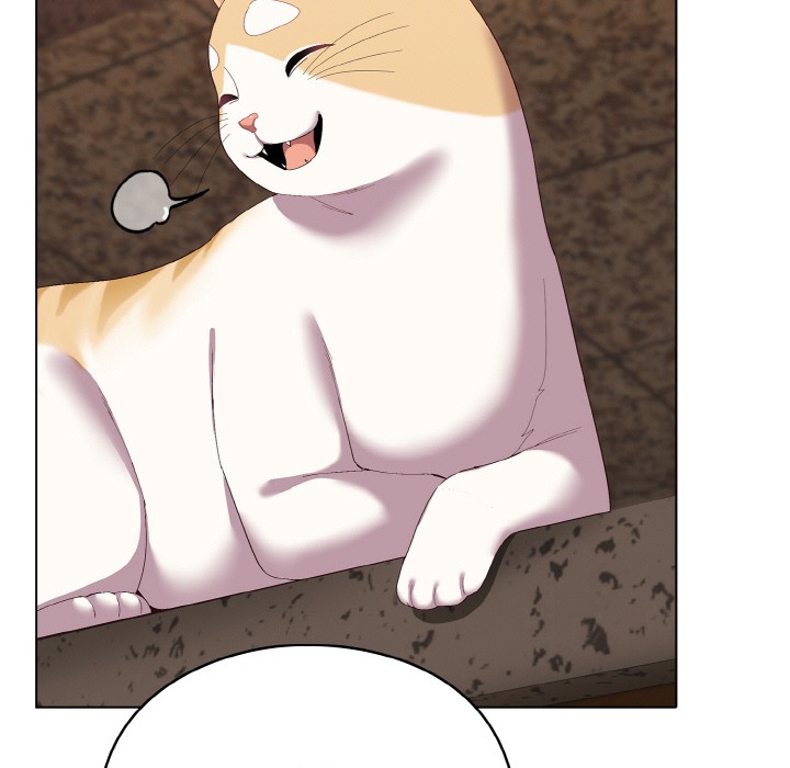 喵来的恋爱第1话