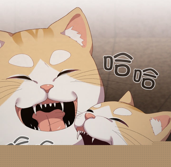 喵来的恋爱第1话