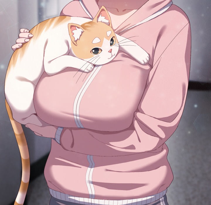 喵来的恋爱第1话