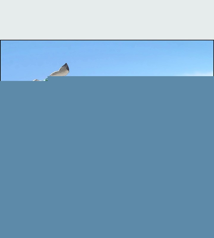 纵夏夜之梦(无码版)第1話-海雲台天體區