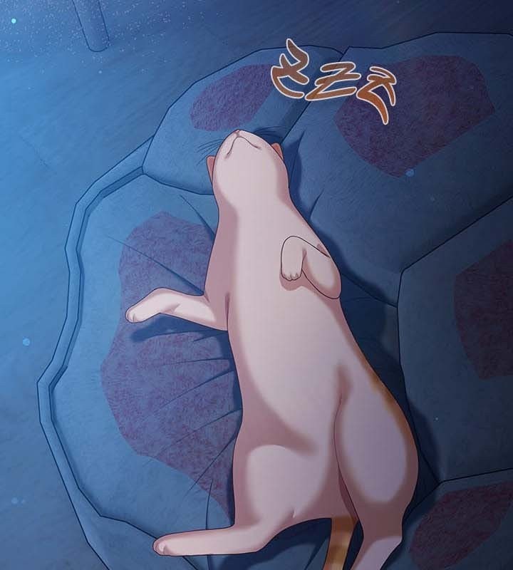 猫猫牵红线第27話